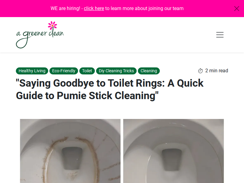 Clean toilet ring safely with ease — GryphonCMS